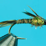 Golden Pheasant Tail