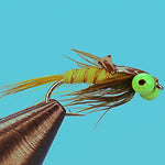 Green Eyed Damsel Nymph