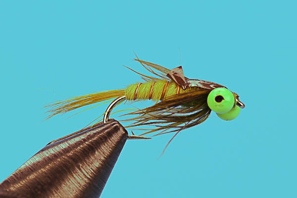 Green Eyed Damsel Nymph