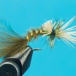 Green Drake Cripple  - Mayfly Dry Fly