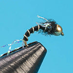 Half Pint Midge-Beadhead