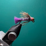 Hares Ear Purple