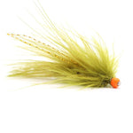 Hazy Olive Balanced Leech