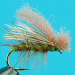 Hot Wing Caddis