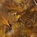 Hareline Premium Hungarian Partridge