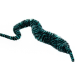 Mangum’s Mini Dragon Tail UV2