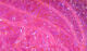 Hareline UV Polar Chenille