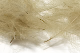 Cul De Canard 1 Gram Pack