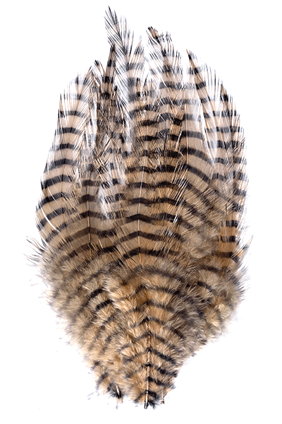 MFC Barred Saddle Hackle