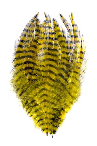 MFC Barred Saddle Hackle