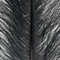 Ostrich Feather Plumes