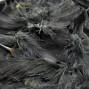 Hareline Premium Hungarian Partridge