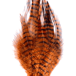 MFC Barred Saddle Hackle