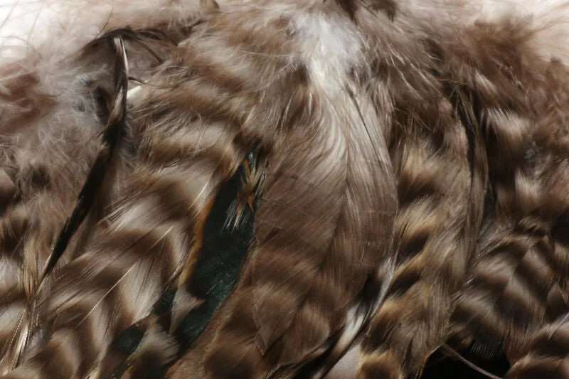 Hareline Schlappen