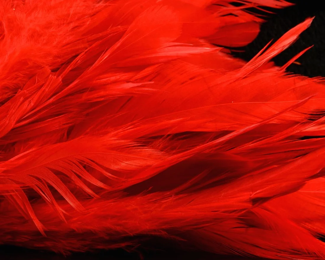 Hareline Schlappen