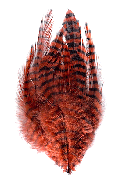 MFC Barred Saddle Hackle