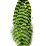 MFC Barred Schlappen