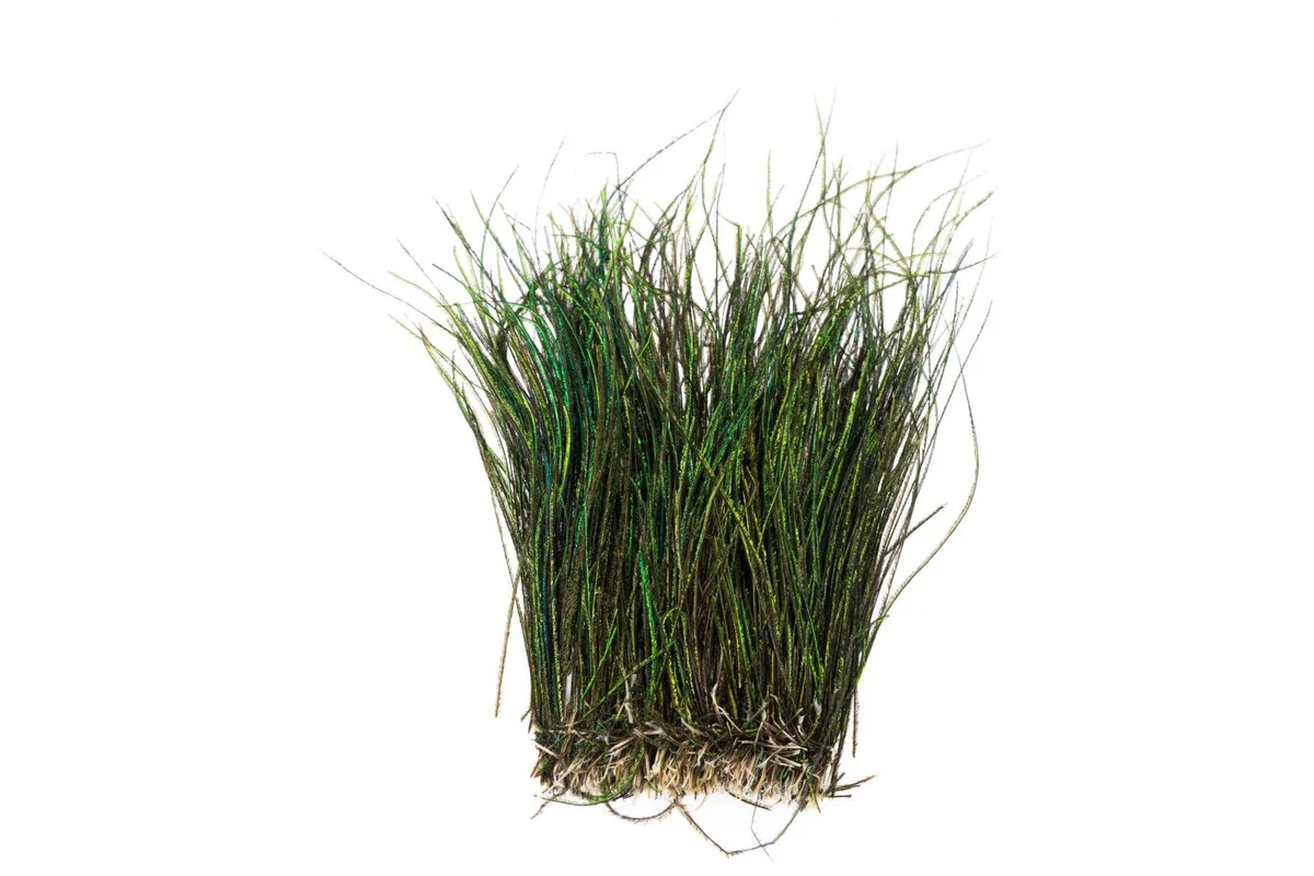 Strung Peacock Herl 5-7" Small