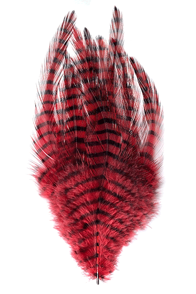 MFC Barred Saddle Hackle