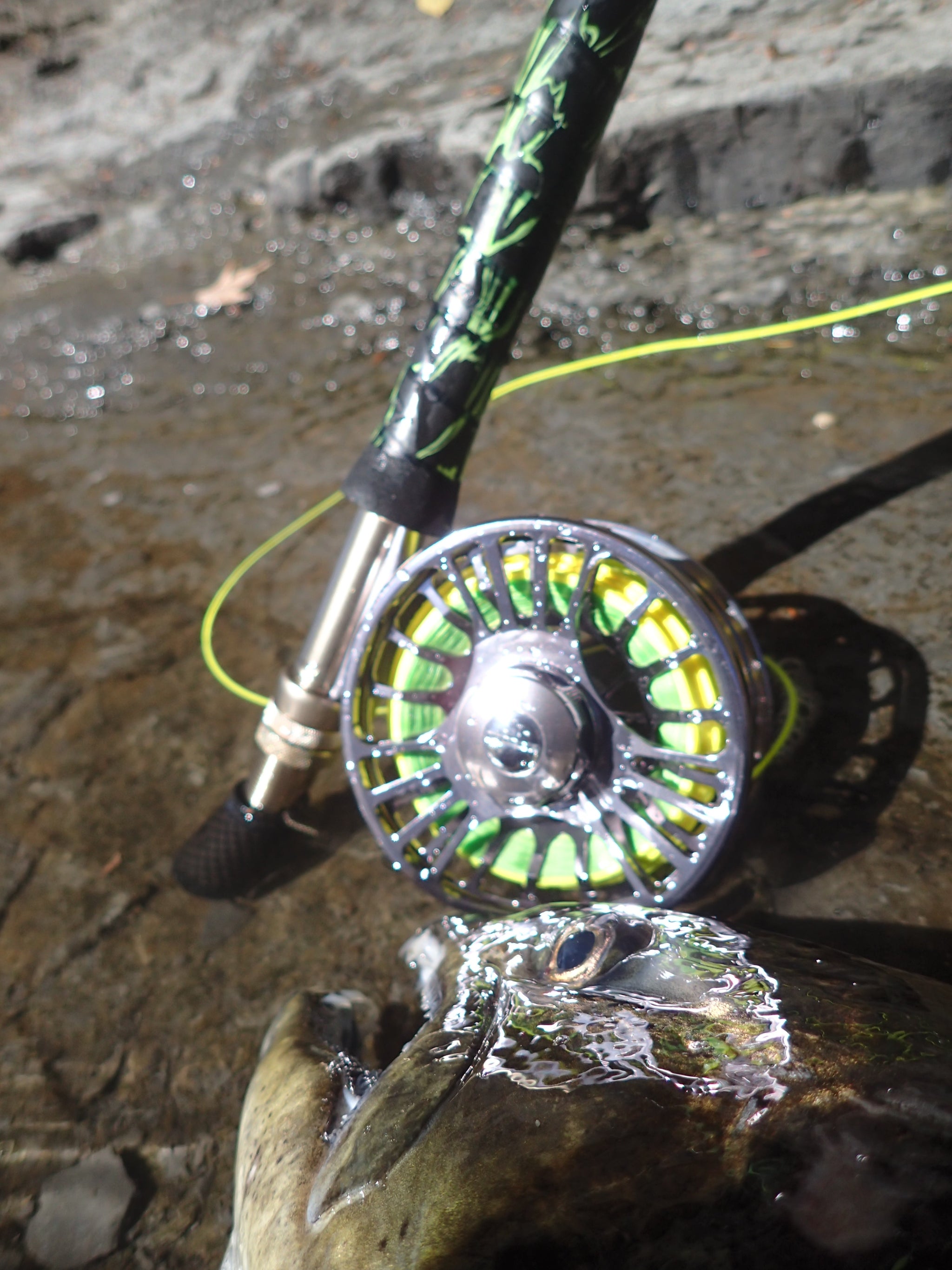 Risen Goliath Rod & Reel Combo