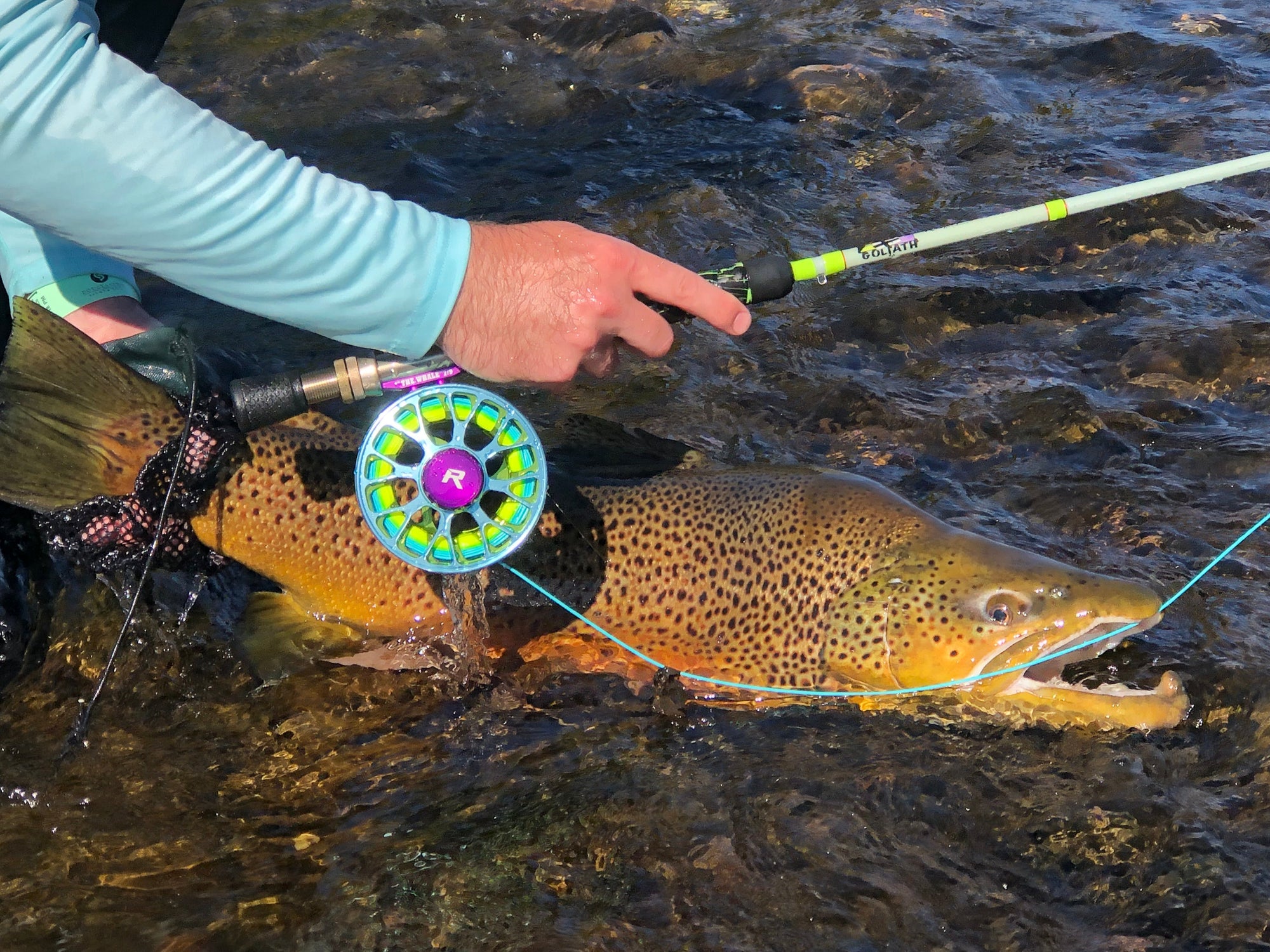 Risen Goliath Rod & Reel Combo