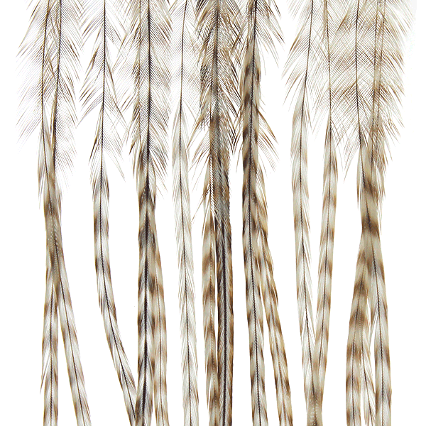 MFC Whiting 100 Pack