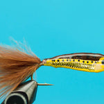 Janssen's Minnow--Brown Trout