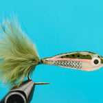 Janssen's Minnow--Rainbow Trout