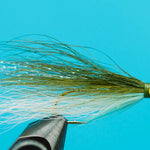 Lake Erie Shiner