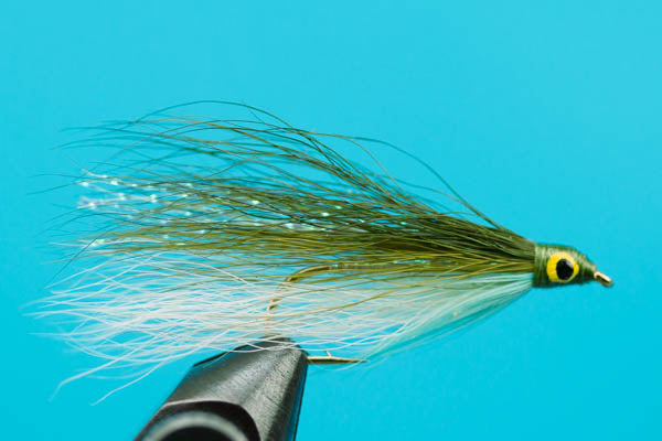 Lake Erie Shiner