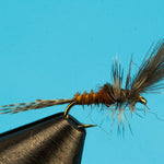 Last Chance Cripple Callibaetis
