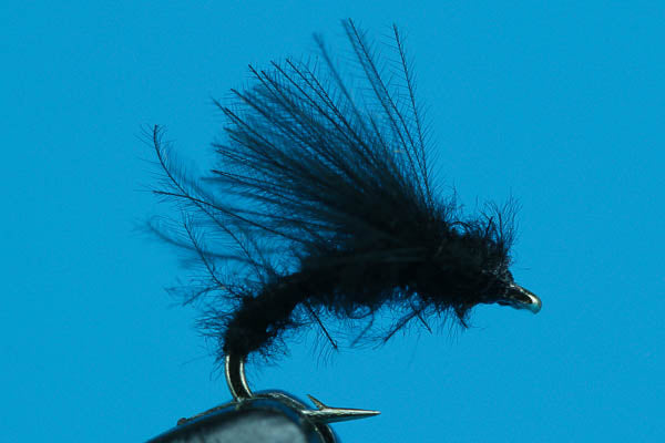 Little Black Caddis - Dry Fly