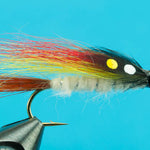 Little Brown Trout