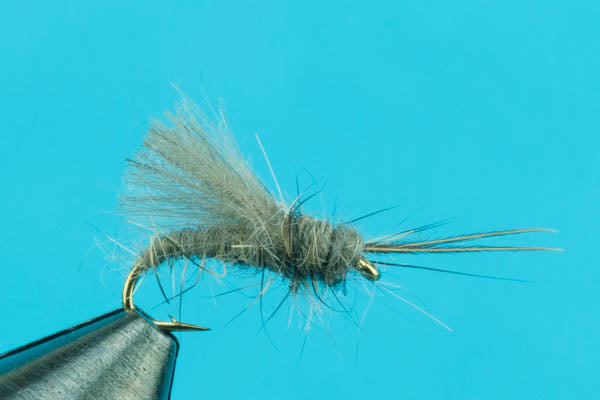 Little Caddis Thing