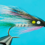 Little Rainbow Trout