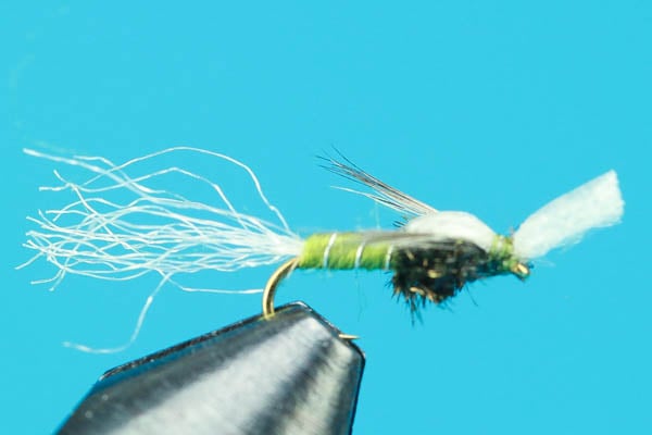 Mayhem Midge