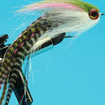 Muskie Rainbow