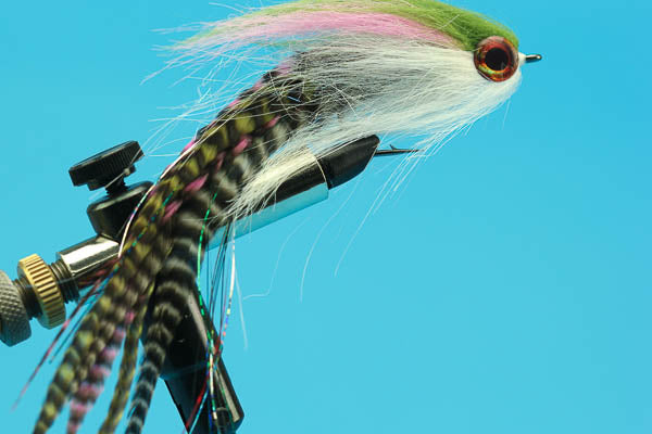 Muskie Rainbow