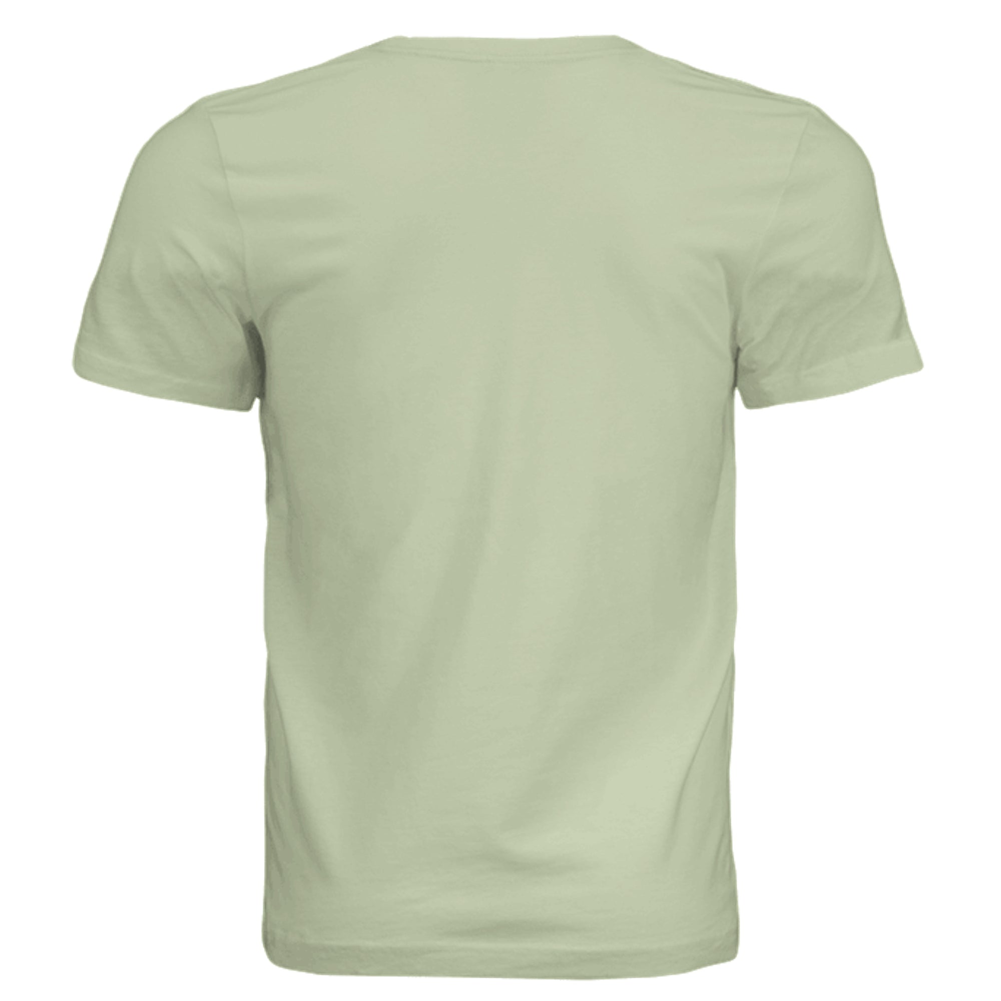 Spring Green Triblend - 3413C - BACK