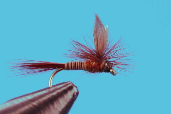 Parachute Red Quill  - Mayfly Dry Fly