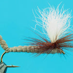 Parachute Au Sable Hex