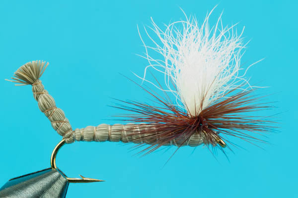 Parachute Au Sable Hex