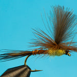 Parachute Brown Drake