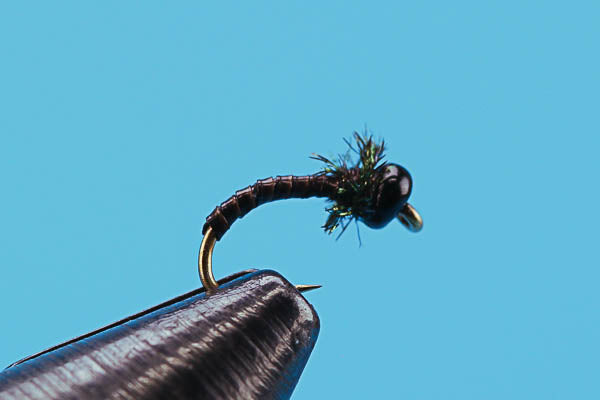 Peacock Emerging Nymph - Beadhead