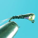 Perdigon Biot Jig - Tungsten (Barlbess)