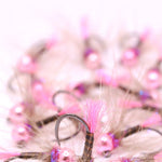 Pink BH Quill CDC