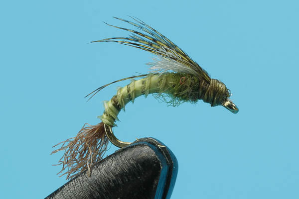 Pink Lady Emerger
