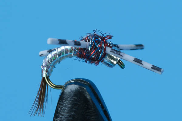 Rainbow Warrior Rubber Legs - Beadhead