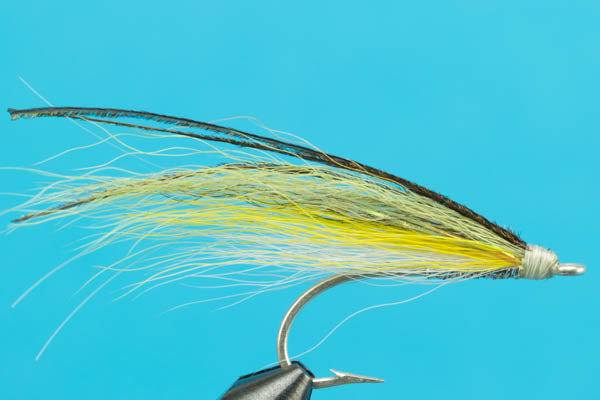 Ray's Fly