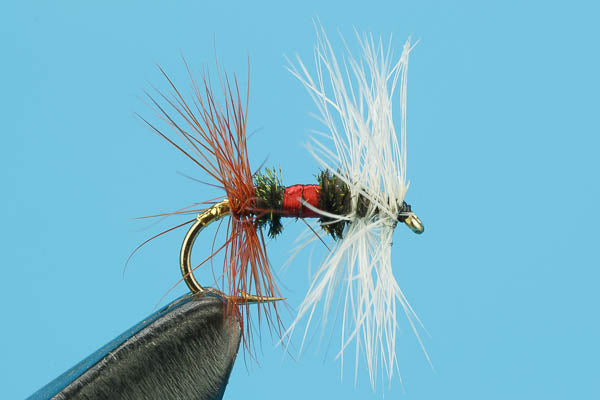 Royal Renegade Dry Fly